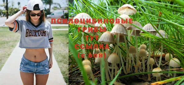 круглые Арсеньев