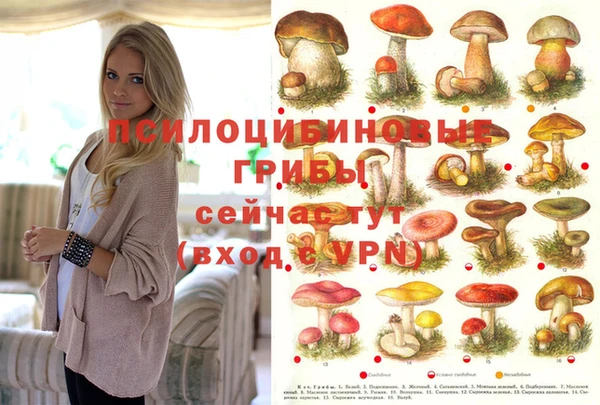 меф Аркадак