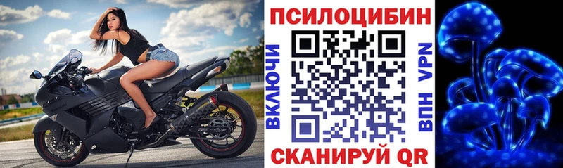 Галлюциногенные грибы мицелий  Купить  Навашино 